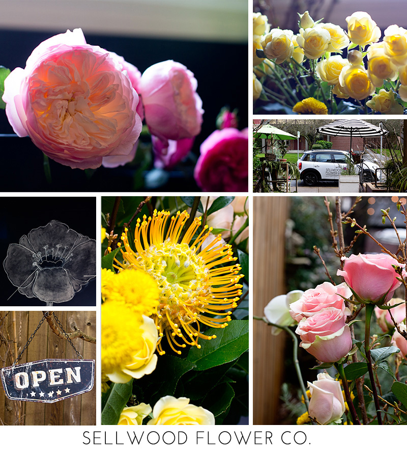Sellwood Flower Co. photo tour Portland flower shop