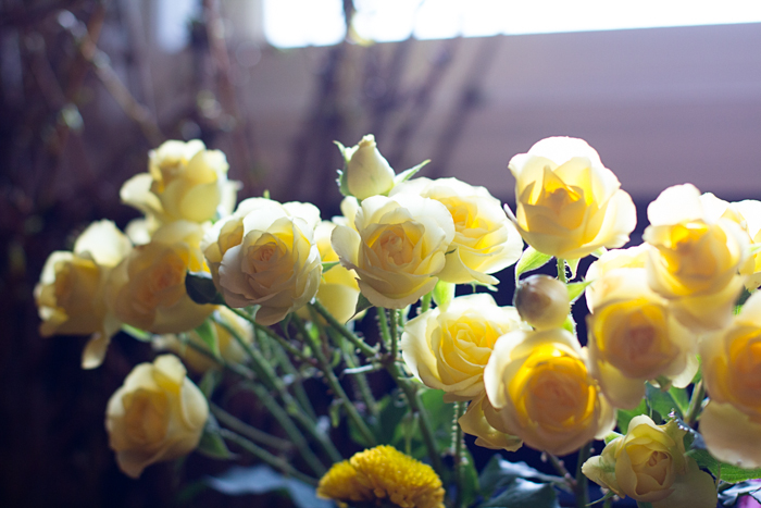 sunlit yellow roses at Sellwood Flower Co., photographed by Jessica Nichols, Sweet Eventide