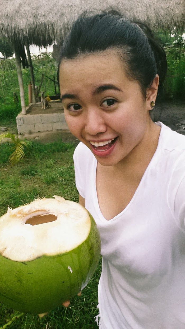 drinking fresh coconuts