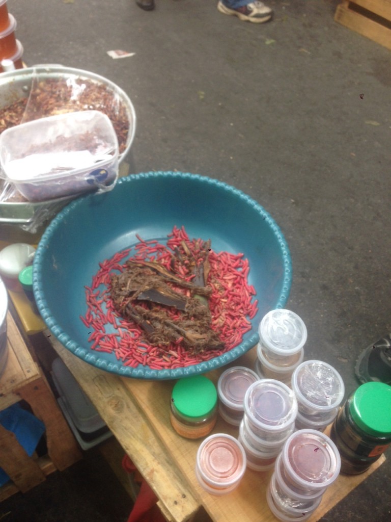Another Oaxacan specialty - worms in a bowl. Sometimes eaten raw, but also cooked and then ground up into a powder and mixed with chile peppers for a seasoning. 