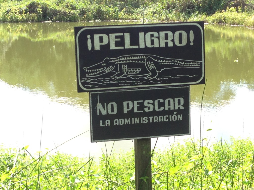 You don't need to speak Spanish to understand that you should not swim in these waters.
