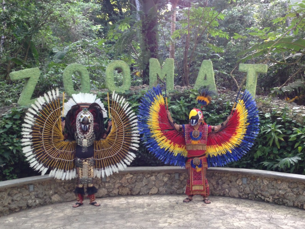 We didn't get to see any parrots at Sima de las Cotorras, but we did see these gigantic birds at the zoo in Tuxtla Guiterrez