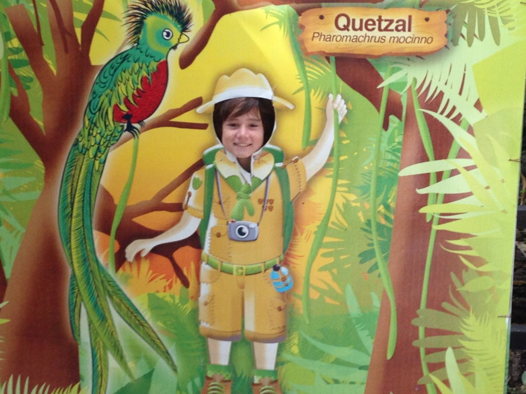 We were lucky to spot a quetzal - the native bird of Guatemala - at the zoo. Here, J poses in his Indiana J outfit.