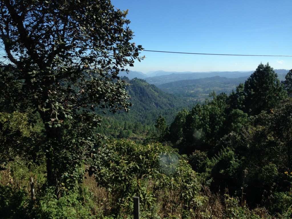 One of the beautiful vistas we had on the ride from San Cristobal to Palenque.