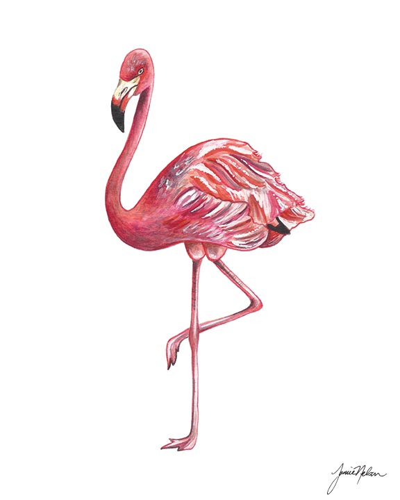 Janice Nelson Designs — Flamingo Print