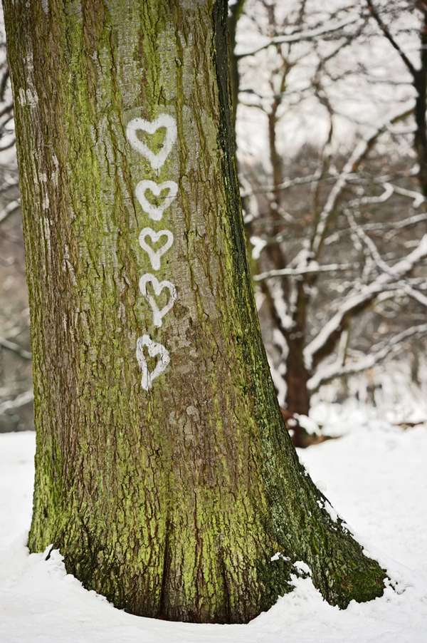 tree_hearts