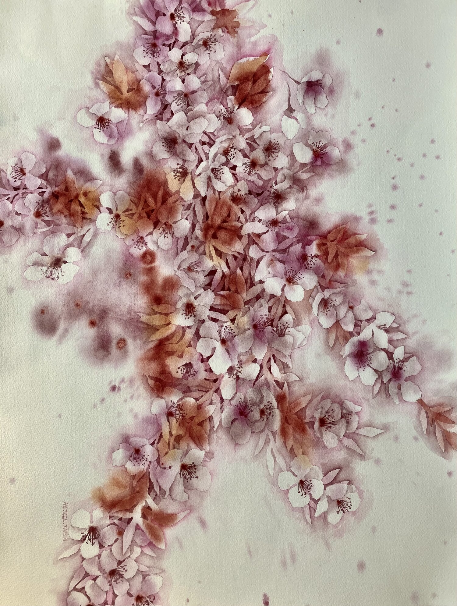 Flowering Plum in Spring — Dragonfly Watercolors
