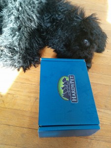 puppy with blue box bundle from hardypet