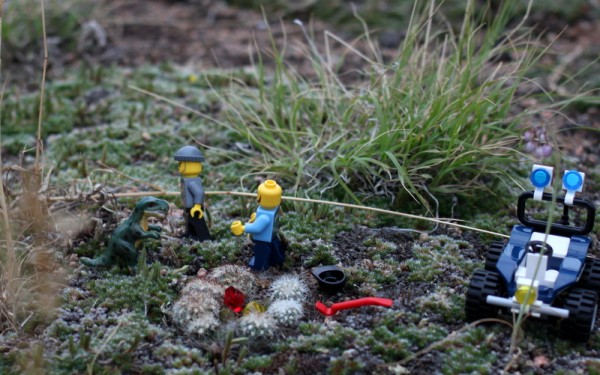 lego figures in miniature cactus