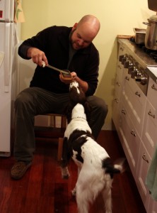 sharpening knife with dog
