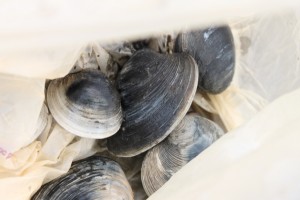 bag of clams