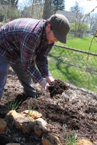 urban composted soil
