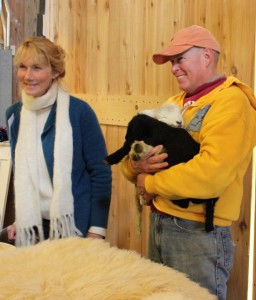 lambs at jorgensen farm