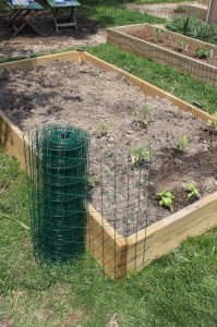 roll fencing wrapping around a raised bed
