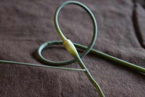 curly edible garlic scapes