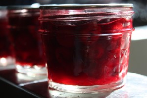 canned cocktail cherries