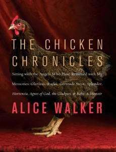 chicken chronicles alice walker