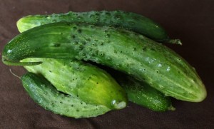 too-big pickling cucumbers