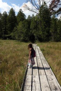child standing on boardwalk at cedar bog