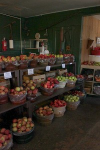 apple variety at lawrence orchards