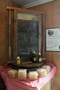 observation hive at lawrence orchards