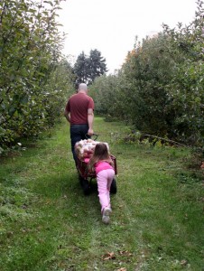 pushing apple cart