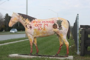 osu equine open house 2011