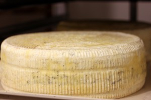 kokoborrego pressed cheese