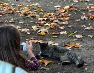 child photographing cat