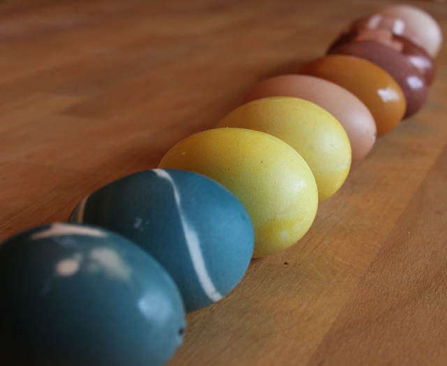 rainbow of naturally dyed eggs