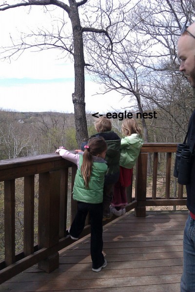kids looking at eagles nest