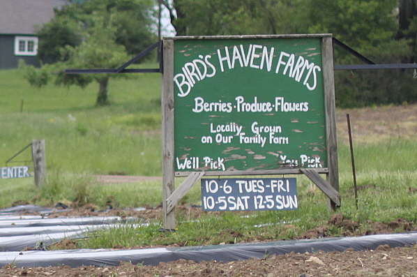 bird's haven farms sign