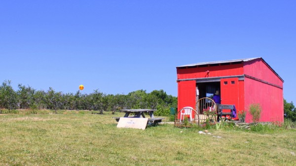 red shack at berryfield farms