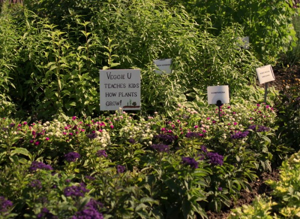 veggie u garden sign