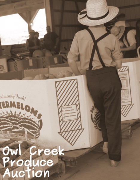owl creek produce auction