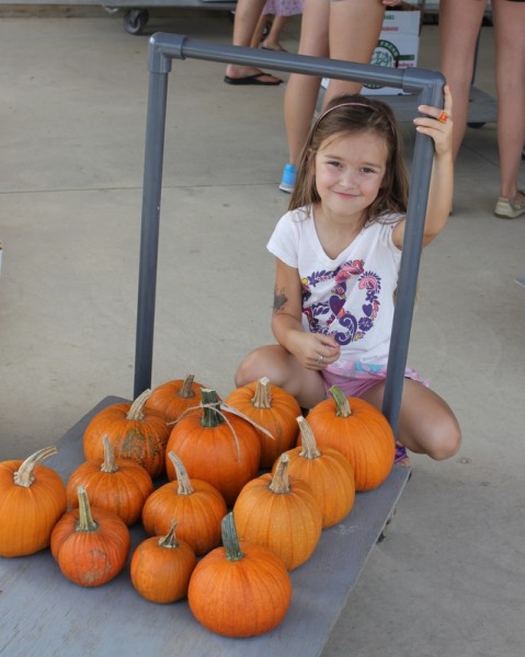 Lil and little pumpkins