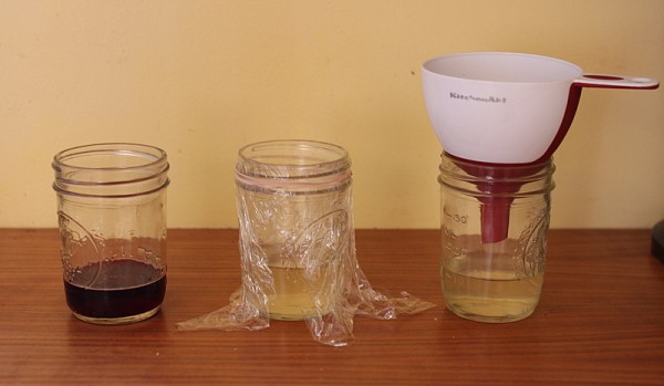 three fruit fly traps