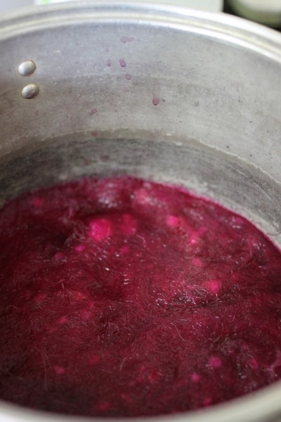 cooking wool in pokeberry dye