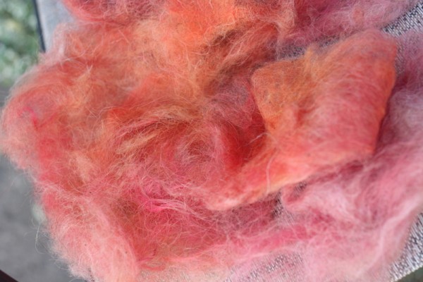 wool dyed with pokeberry 