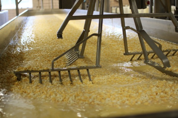 pearl valley cheese curds in stirring machine