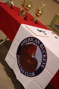 american buckeye poultry club