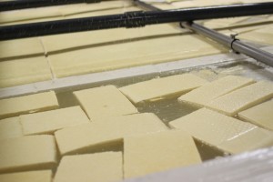 swiss cheese floating in brine