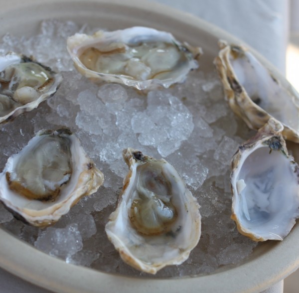 los angeles oysters