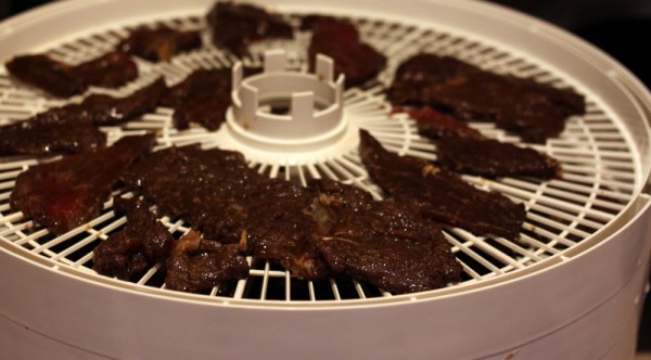 bison jerky dehydrating