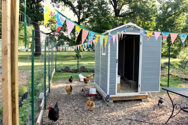 chicken coop oilcloth bunting