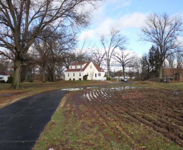 homestead plow