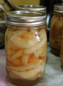 canned brandied pears recipe