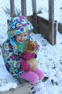 girl with chickens in snow