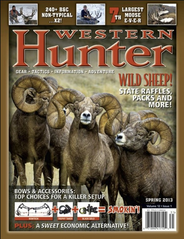 Bighorn Sheep Cover Photograph