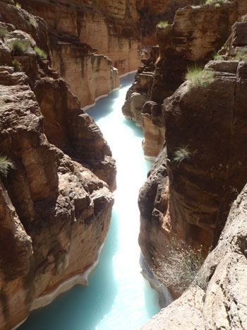Kim Weston on the Colorado River in the Grand Canyon